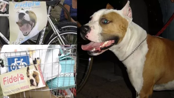 fidel candidato de la perrada