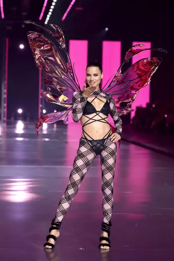 looks espectaculares Victoria's Secret Fashion Show