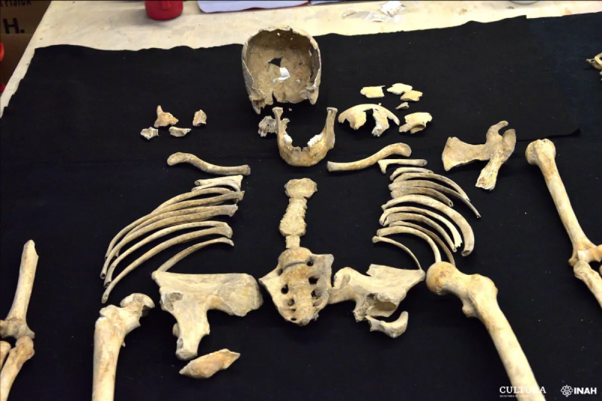 inah descubre entierros en las afueras del Panteón de San Fernando