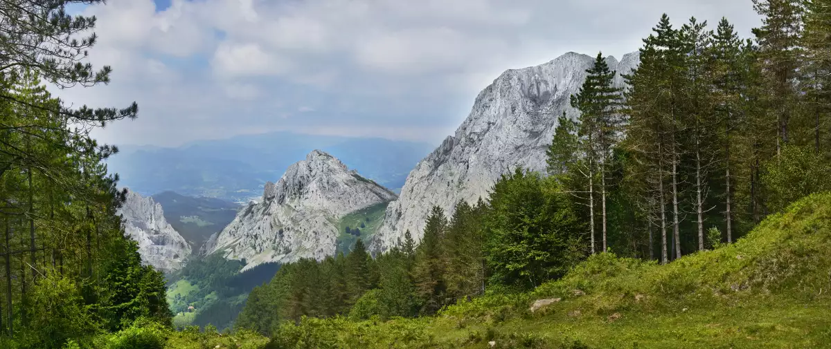 Los verdes alrededores de Bilbao