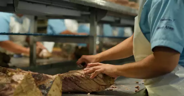 limpieza-atun-mazatlan (1).jpg