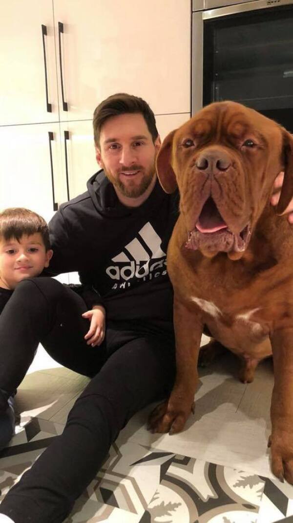 Hulk, el perro de Messi