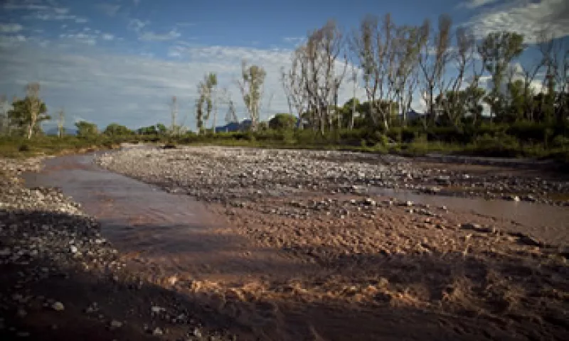 El Gobierno creó una unidad para vigilar los daños a la salud causados tras la contaminación. (Foto: Cuartoscuro )
