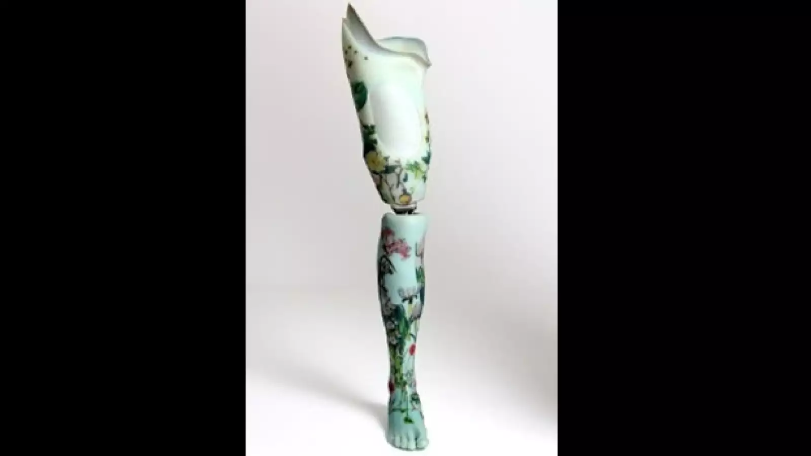 alternative-limb-project-04