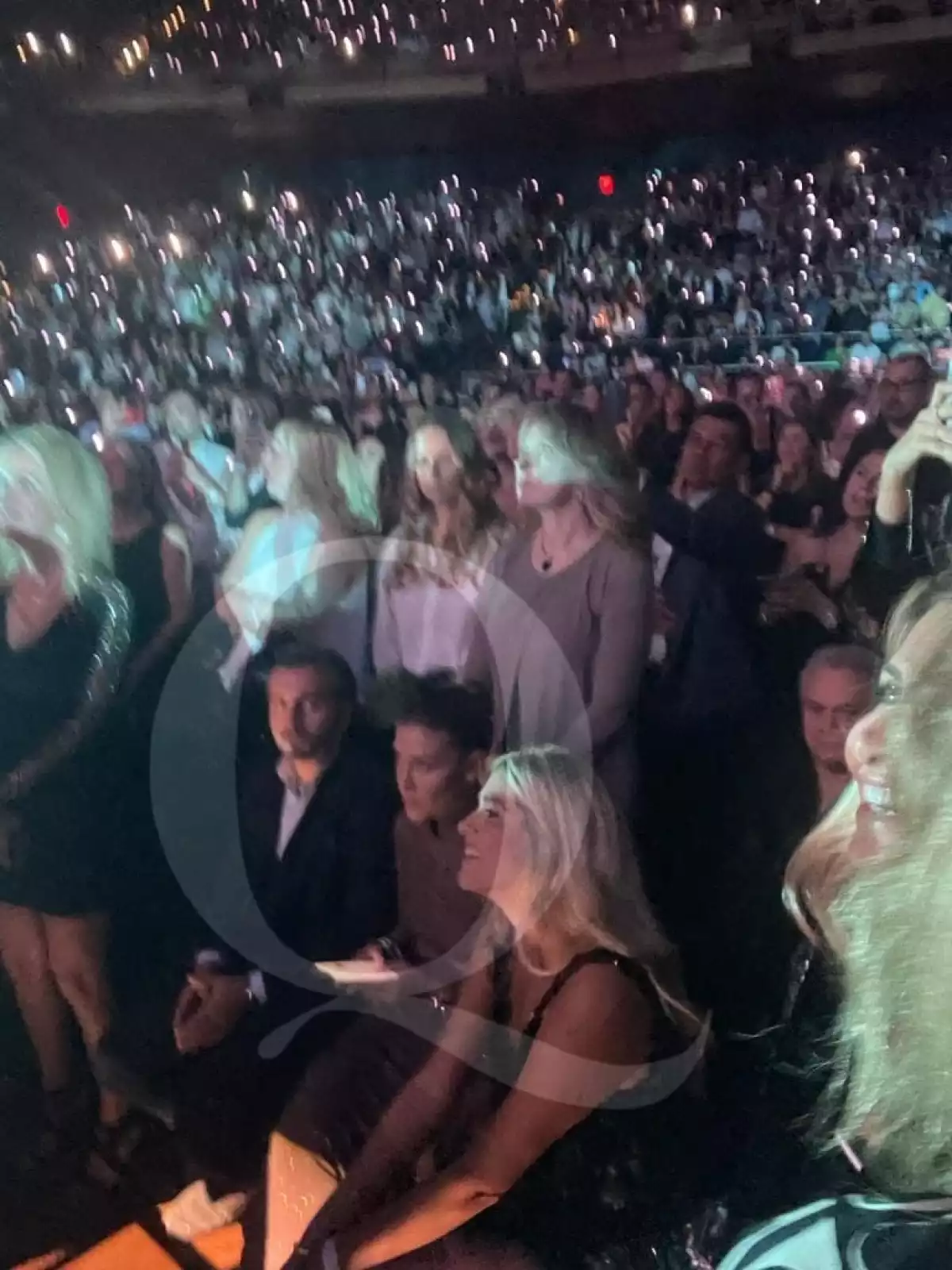 michelle-salas-luis-miguel