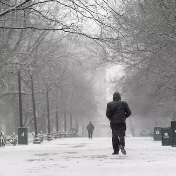 Autoridades estadounidenses han clausurado varias vías debido a la cantidad de nieve. Un hombre camina en un parque de Albany, Nueva York.