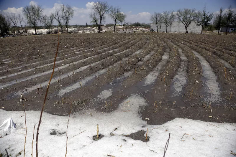Puebla lluvia Volkswagen VW cañón antigranizo