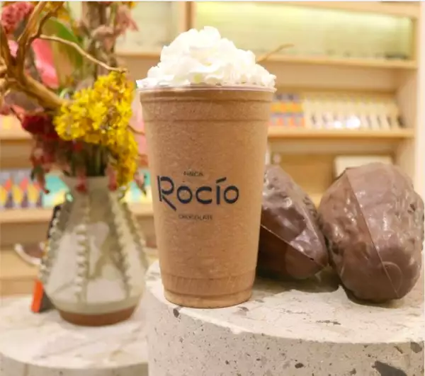 Tienda Chocolates Rocío, Ciudad de México (propiedad de los hijos de López Obrador)