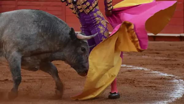Prohíben las corridas de toro en Quintana Roo