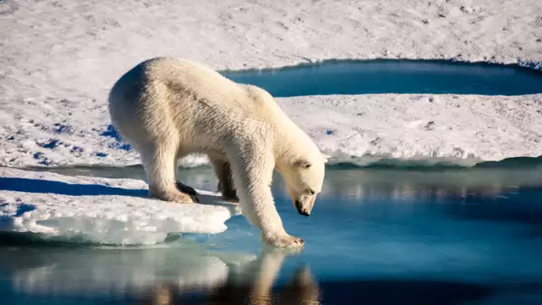 Hielo