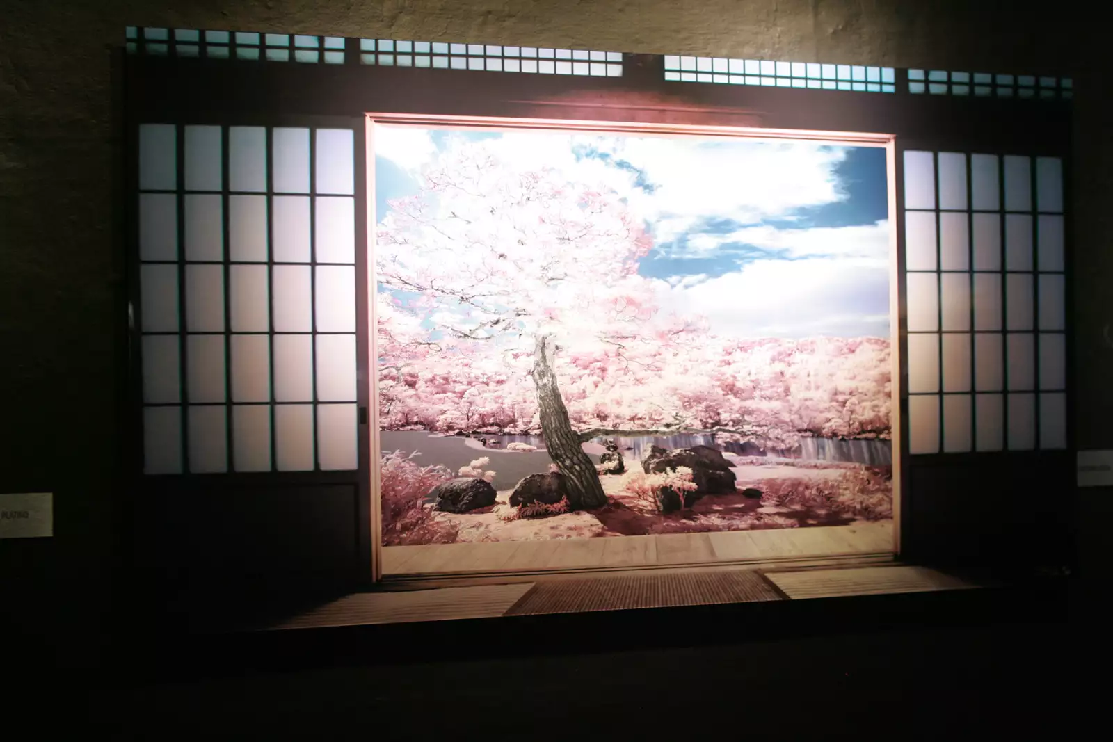 Muestra fotográfica de Pepe Soho