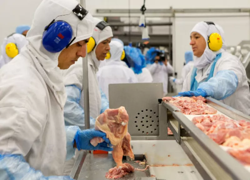empacadora de carne Brasil