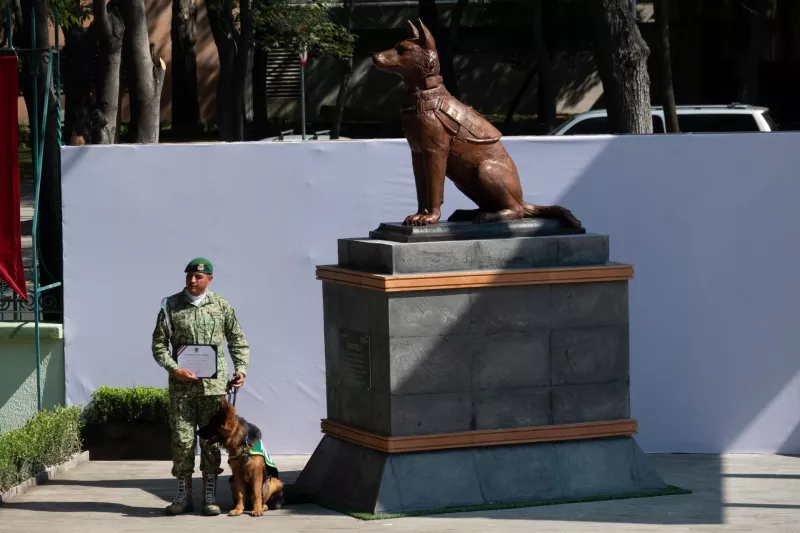 estatua-proteo-perro-rescatista