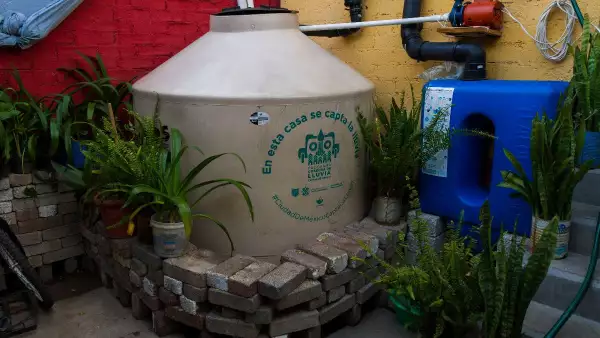 Programa Cosecha de Lluvia.jpg