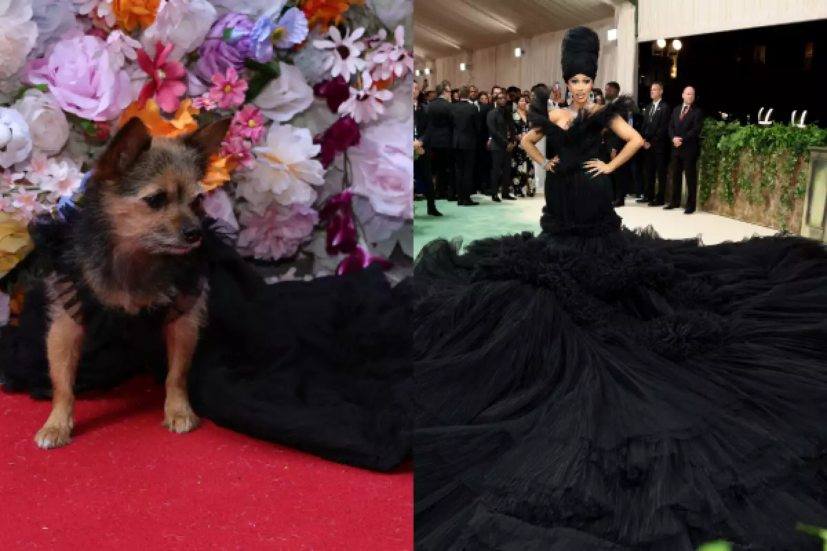 La Pet Gala: todos los perritos que recrearon looks de la Met Gala 2024