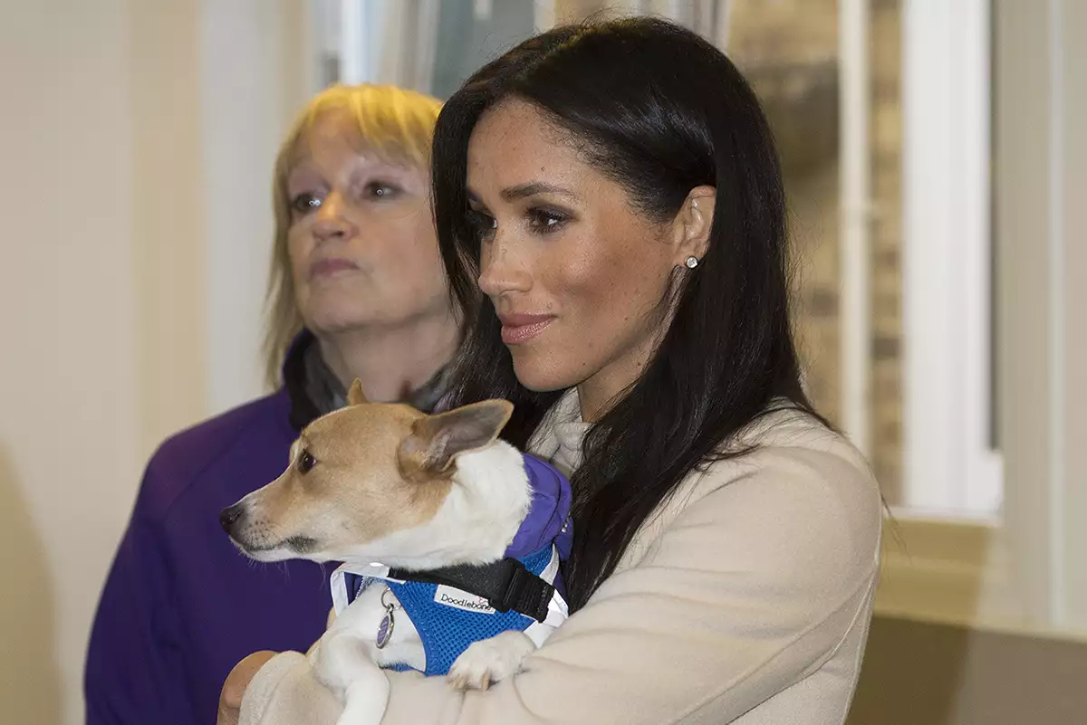 The Duchess Of Sussex Visits Mayhew