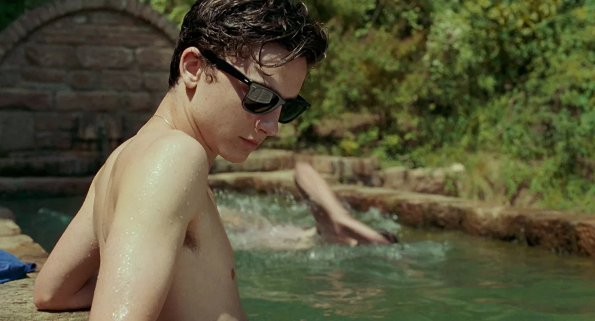 Timothée Chalamet  