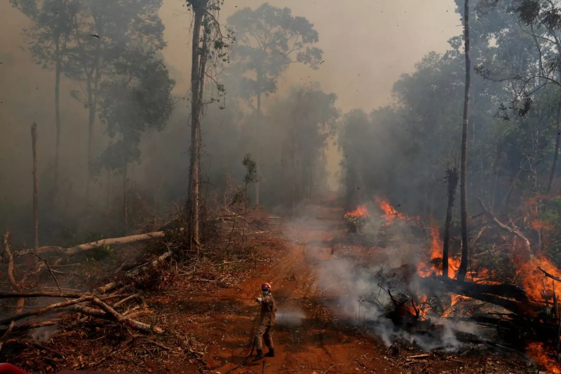 amazonia-incendio-brasil