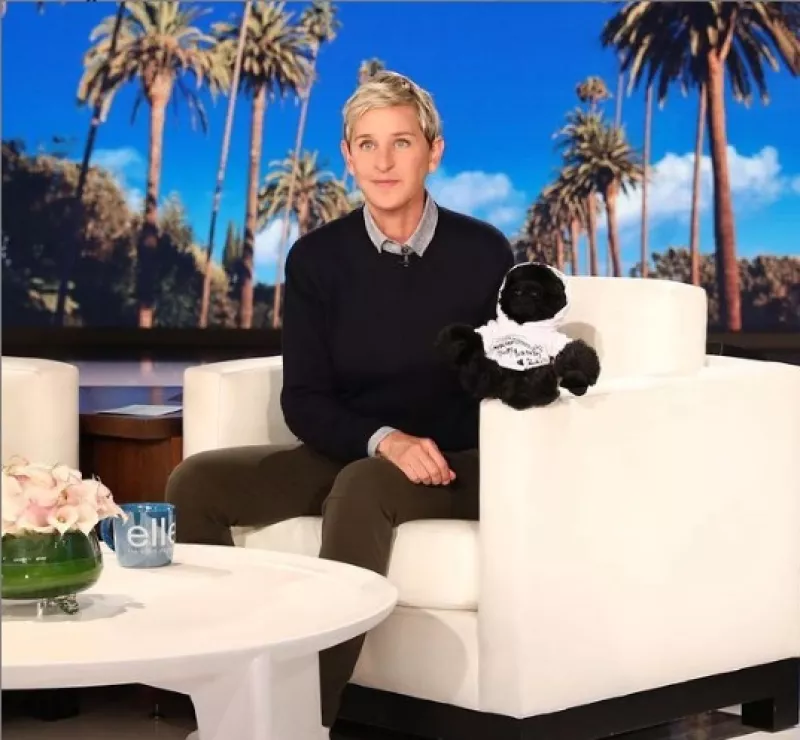 Ellen 1.jpg