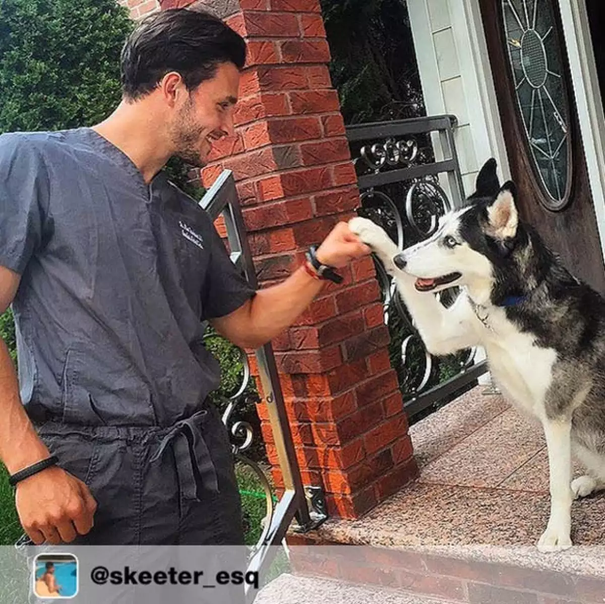 La husky que tanto presume en su cuenta de Instagram se llama Roxy.