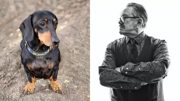 Polémica de Pedro Sola impulsa ley: promover maltrato animal podría costar hasta cuatro años de cárcel