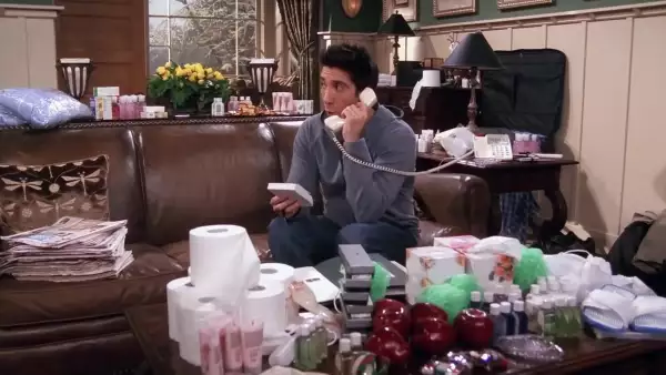 friends-ross-robando-hoteles.jpg