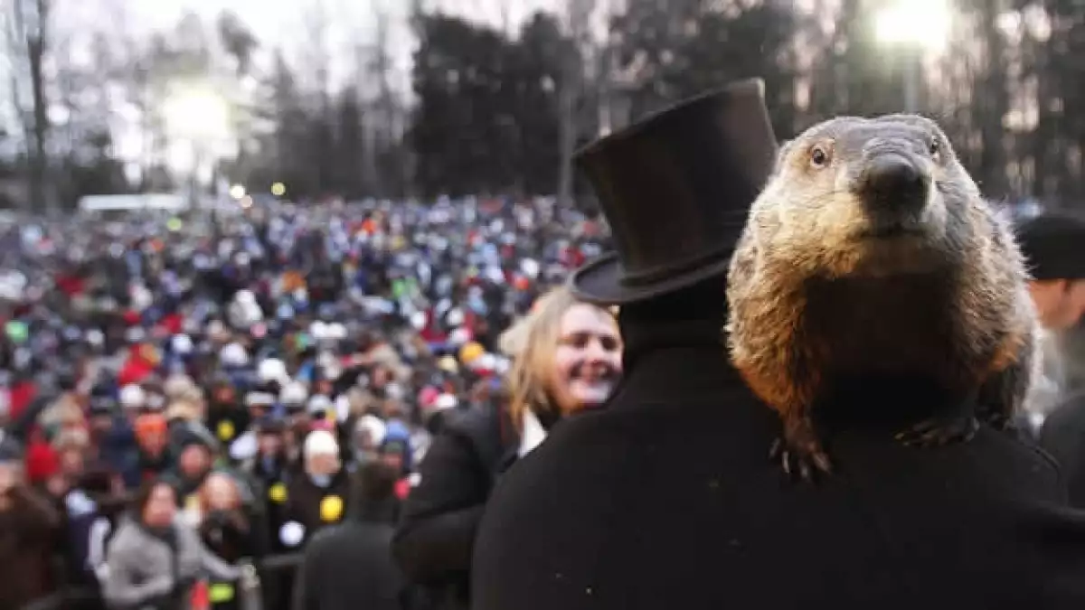 día de la marmota