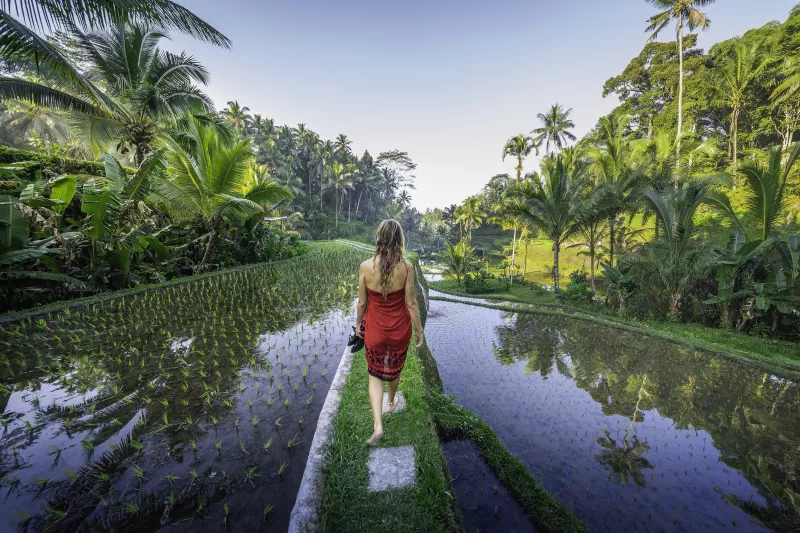 Woman at Tegalalang rice terrace in Bali