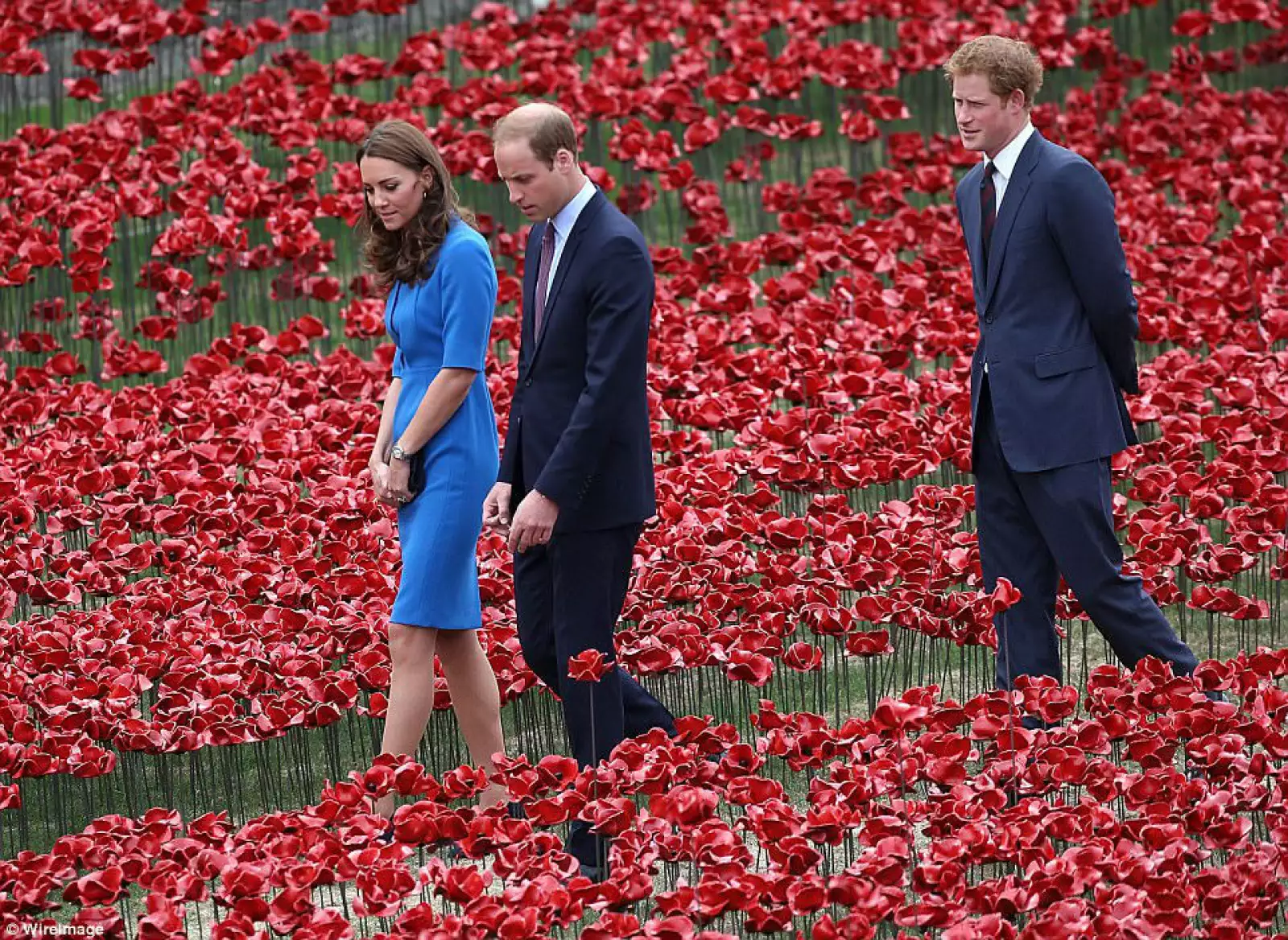 Harry, Kate, William