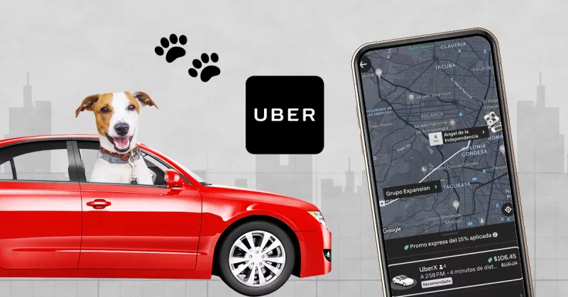 Uber Pet llega a México. Así puedes pedir un taxi par ti y tu mascota