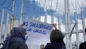 migración