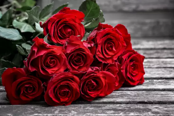 Red roses
