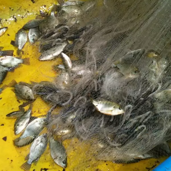 redes de pesca en xochimilco