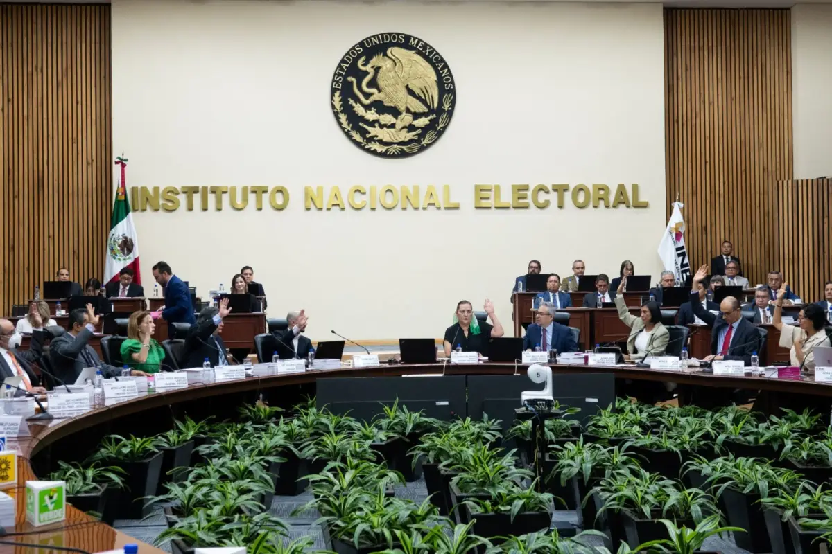 ine-lineamientos.jpg
