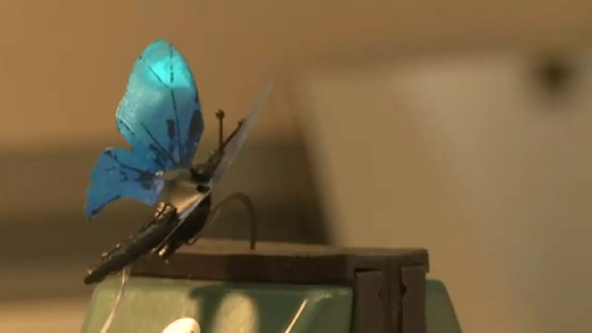 mariposa robot desarrollada por microsoft