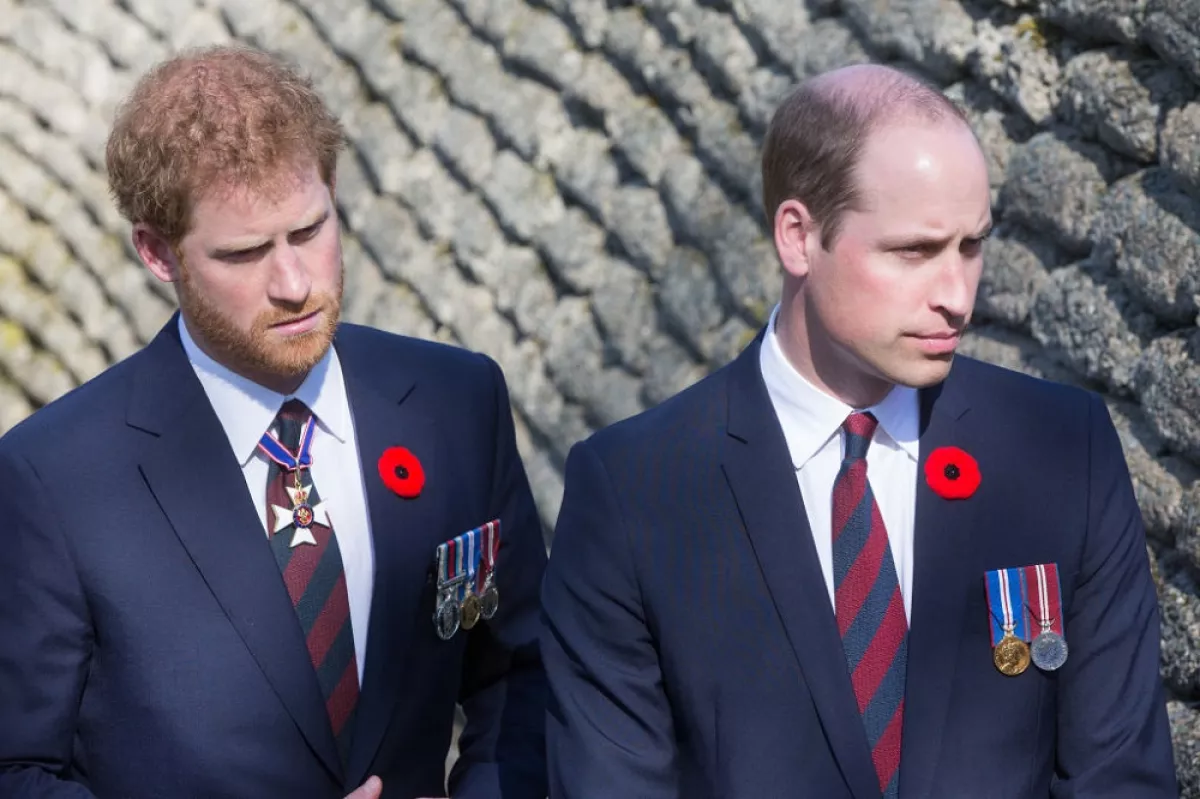 Príncipe Harrt y el príncipe William 