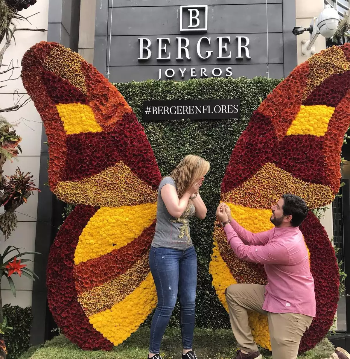  Propuesta de matrimonio