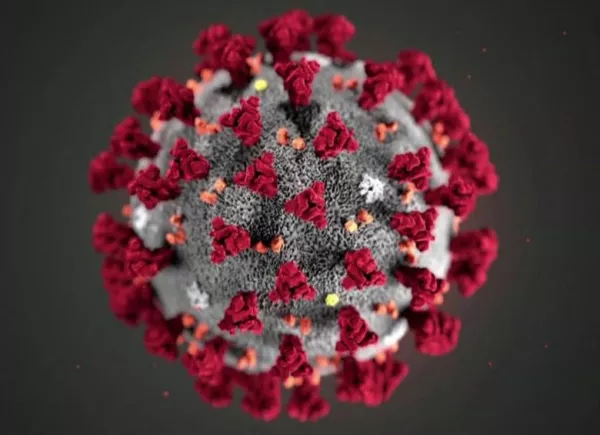 Coronavirus_micros.jpg