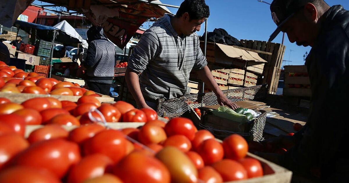 Domates, Meksika ve ABD arasındaki ticari savaşın rehinesi haline gelir, tarifeleri olabilir
