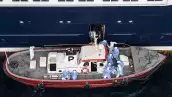 ¿Por qué se propagó tan rápido el hantavirus en el crucero MV Hondius?