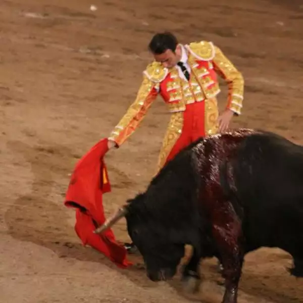 Corrida de Toros