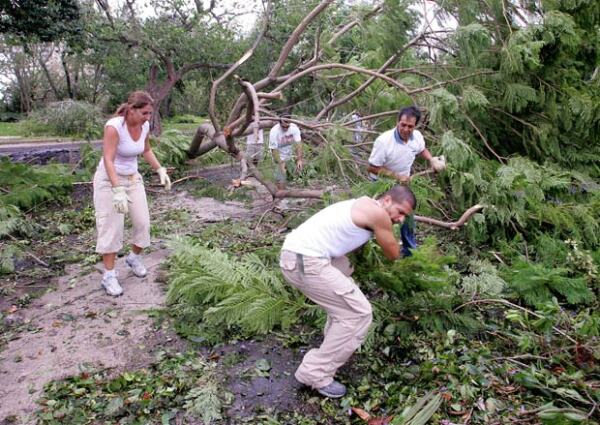 Hasta el momento ni Brad o su fundación, Make It Right, han hablado sobre las casas que iban a construir para ayudar a las personas afectadas por el huracán Katrina.