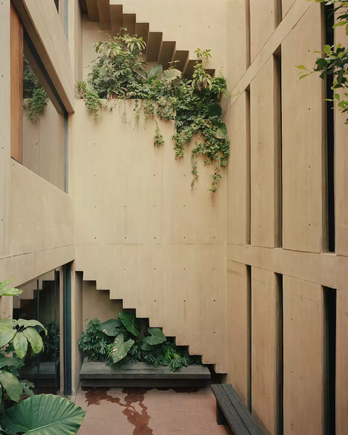 LC710_Rory Gardiner.jpg