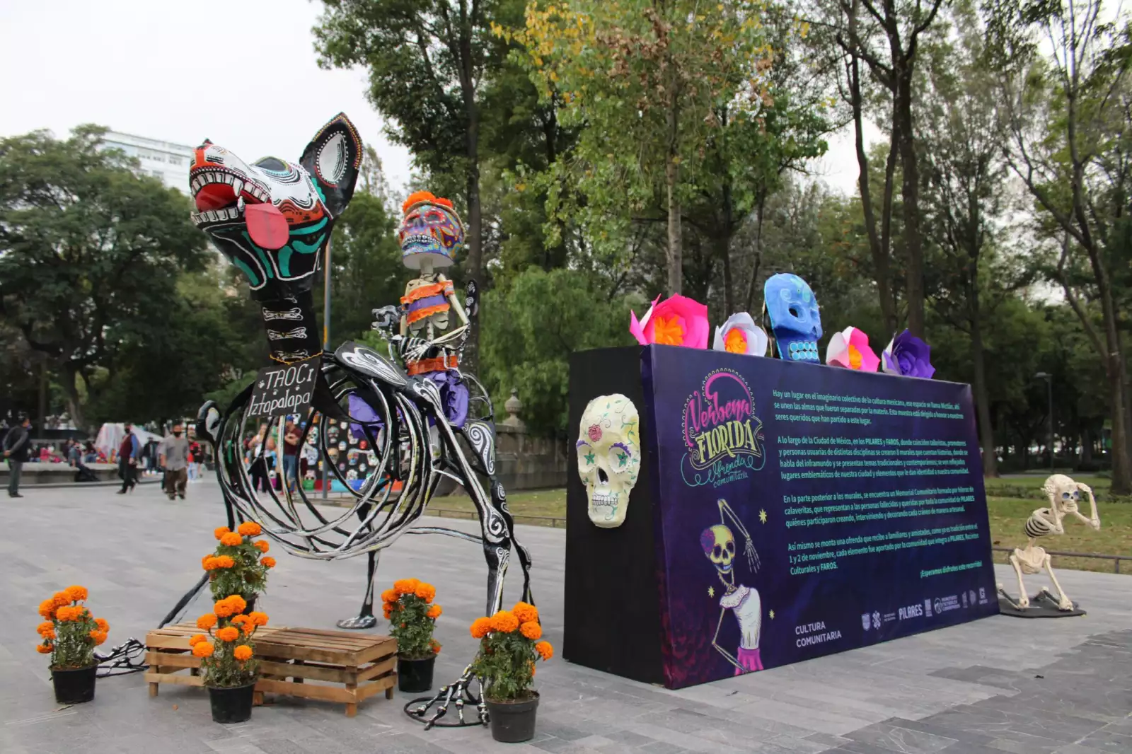 Inicia la instalación de las ofrendas por el Día de Muertos en la Ciudad de México. 