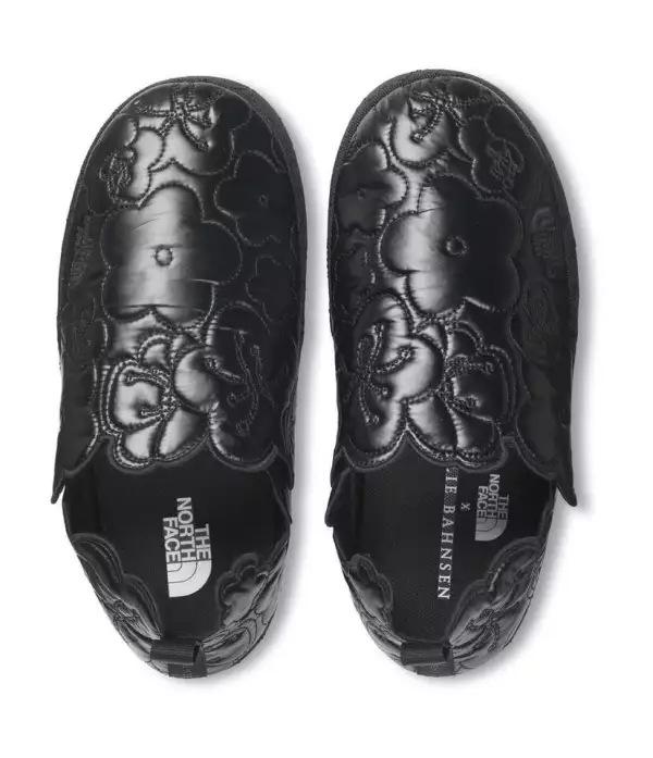 the-north-face-x-cecilie-bahnsen-