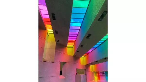 museo tamayo_twitter.jpg