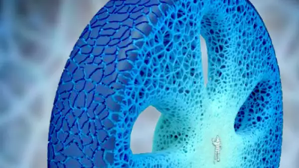 Michelin nueva llanta Vision