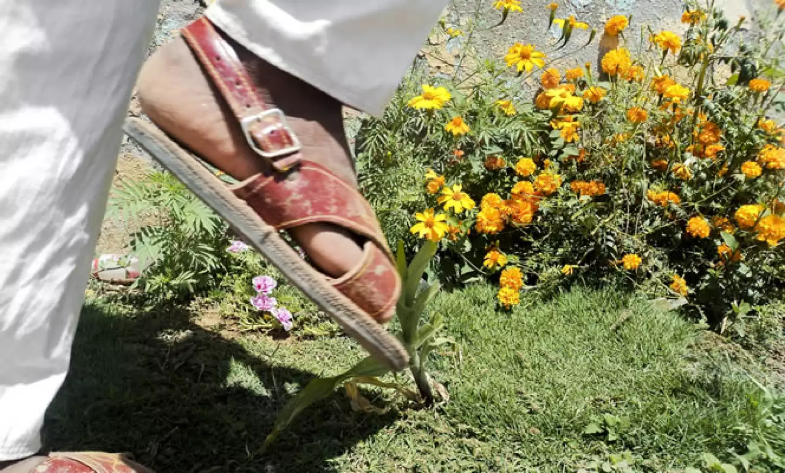 Los niños amuzgos provenientes de Guerrero, se enfocaron en sus costumbres y tradiciones.