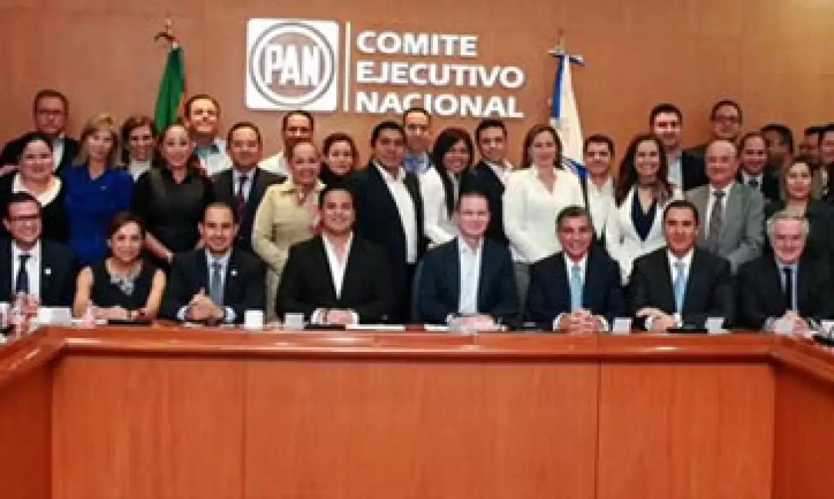 Por unanimidad, el Consejo Nacional del PAN ratificó a Galy Fayad como su candidato al gobierno de Puebla. (Foto: PAN/Cortesía)