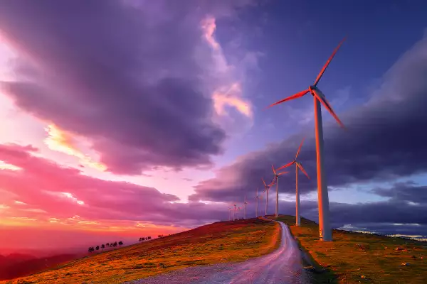 Los senadores han acusado un bloqueo a las inversiones en energías limpias.
